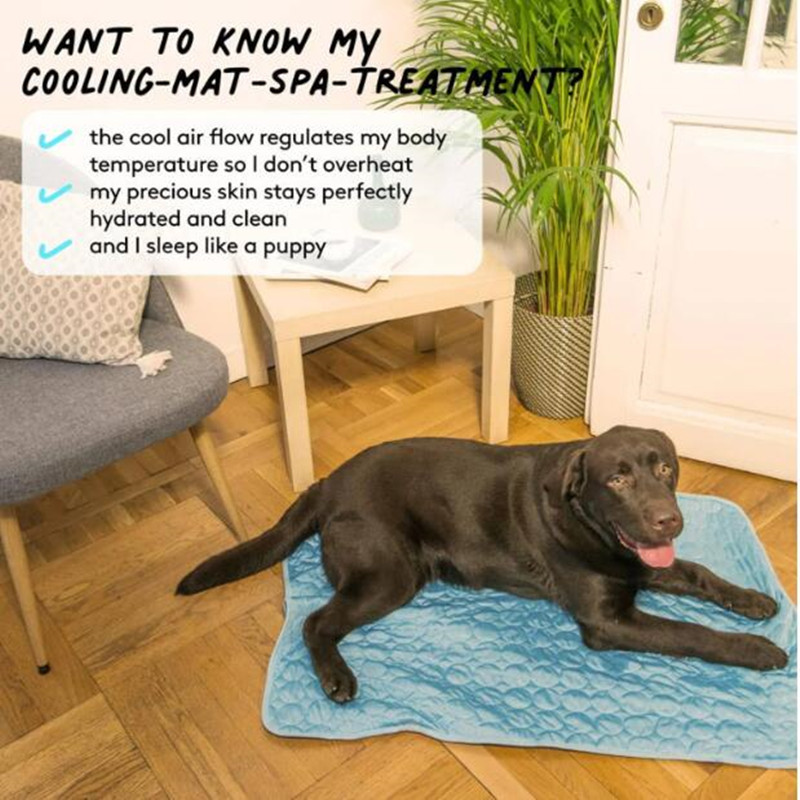 The Ultimate Cooling Pet Mat B - đánh giá và giá Cooling Blanket Hot Sleepers
