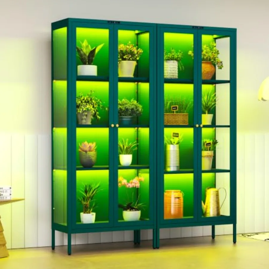 66 Glass Display Cabinet with  - đánh giá và giá Lighting